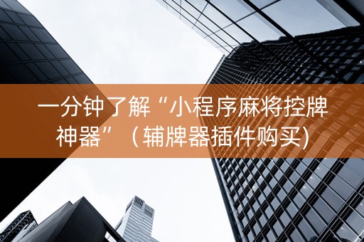 一分钟了解“小程序麻将控牌神器”（辅牌器插件购买)