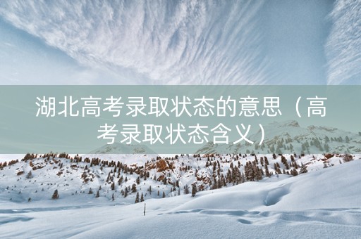 湖北高考录取状态的意思（高考录取状态含义）
