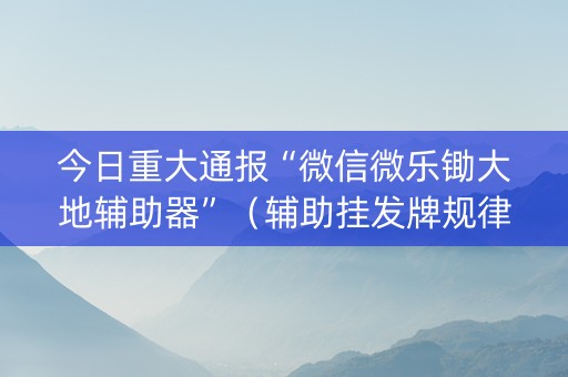 今日重大通报“微信微乐锄大地辅助器”（辅助挂发牌规律)