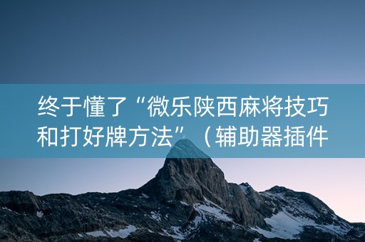 终于懂了“微乐陕西麻将技巧和打好牌方法”（辅助器插件)