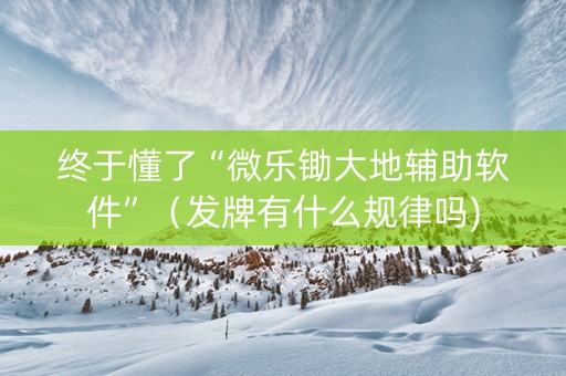 终于懂了“微乐锄大地辅助软件”（发牌有什么规律吗)