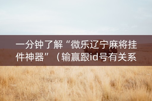 一分钟了解“微乐辽宁麻将挂件神器”（输赢跟id号有关系吗)