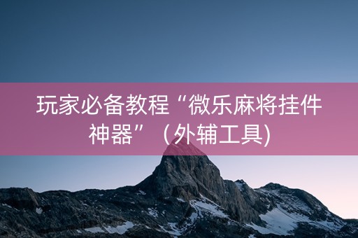 玩家必备教程“微乐麻将挂件神器”（外辅工具)