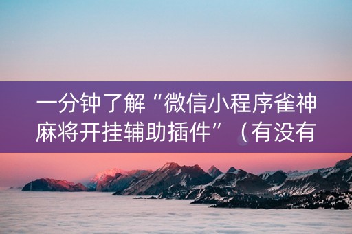 一分钟了解“微信小程序雀神麻将开挂辅助插件”（有没有猫腻)