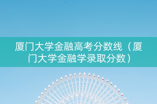 厦门大学金融高考分数线（厦门大学金融学录取分数）