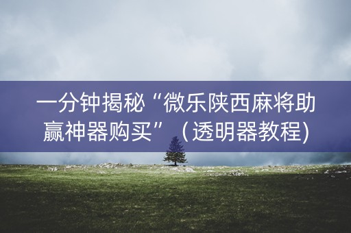 一分钟揭秘“微乐陕西麻将助赢神器购买”（透明器教程)