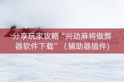 分享玩家攻略“兴动麻将做弊器软件下载”（辅助器插件)