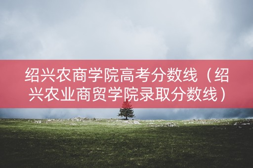 绍兴农商学院高考分数线（绍兴农业商贸学院录取分数线）