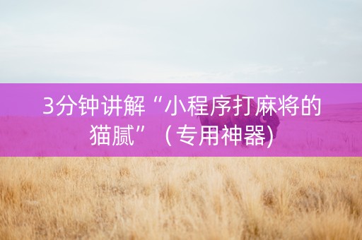3分钟讲解“小程序打麻将的猫腻”（专用神器)
