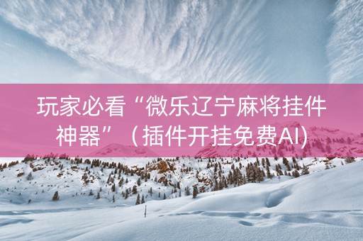 玩家必看“微乐辽宁麻将挂件神器”（插件开挂免费AI)