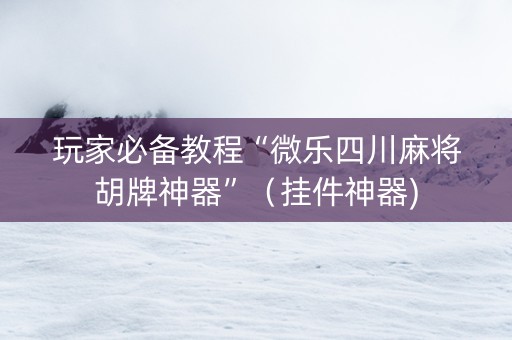 玩家必备教程“微乐四川麻将胡牌神器”（挂件神器)