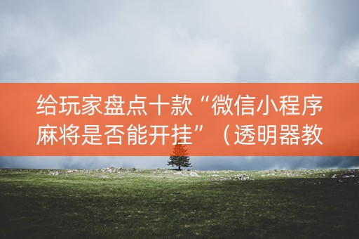 给玩家盘点十款“微信小程序麻将是否能开挂”（透明器教程)