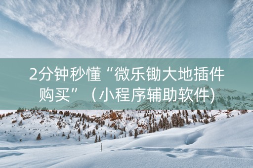 2分钟秒懂“微乐锄大地插件购买”（小程序辅助软件)