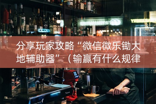 分享玩家攻略“微信微乐锄大地辅助器”（输赢有什么规律)