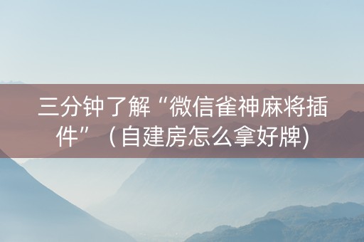 三分钟了解“微信雀神麻将插件”（自建房怎么拿好牌)