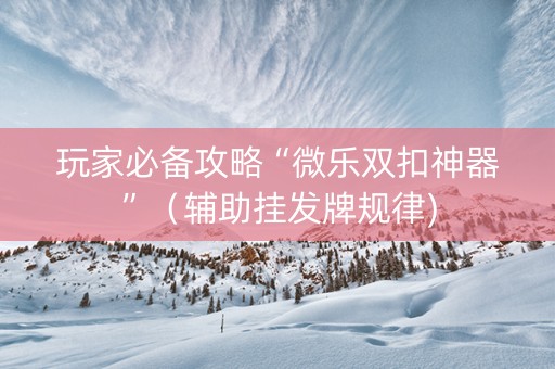 玩家必备攻略“微乐双扣神器”（辅助挂发牌规律)
