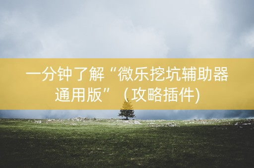 一分钟了解“微乐挖坑辅助器通用版”（攻略插件)
