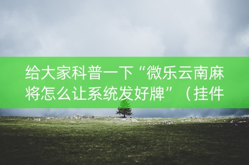 给大家科普一下“微乐云南麻将怎么让系统发好牌”（挂件神器)