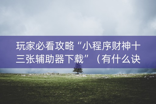 玩家必看攻略“小程序财神十三张辅助器下载”（有什么诀窍)