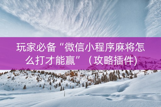玩家必备“微信小程序麻将怎么打才能赢”（攻略插件)
