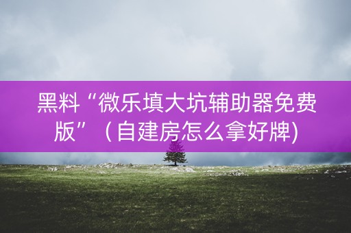 黑料“微乐填大坑辅助器免费版”（自建房怎么拿好牌)