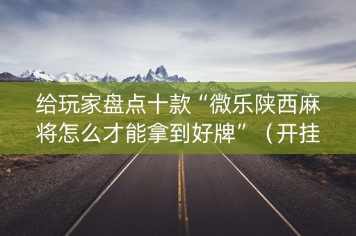 给玩家盘点十款“微乐陕西麻将怎么才能拿到好牌”（开挂辅助插件)