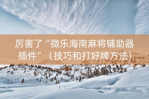 厉害了“微乐海南麻将辅助器插件”（技巧和打好牌方法)
