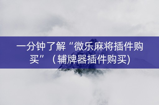 一分钟了解“微乐麻将插件购买”（辅牌器插件购买)