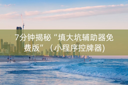 7分钟揭秘“填大坑辅助器免费版”（小程序控牌器)