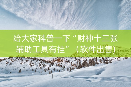 给大家科普一下“财神十三张辅助工具有挂”（软件出售)