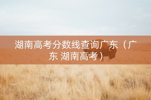 湖南高考分数线查询广东（广东 湖南高考）