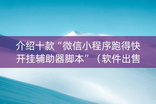 介绍十款“微信小程序跑得快开挂辅助器脚本”（软件出售)
