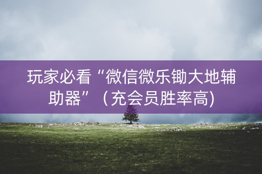 玩家必看“微信微乐锄大地辅助器”（充会员胜率高)