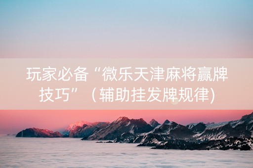 玩家必备“微乐天津麻将赢牌技巧”（辅助挂发牌规律)