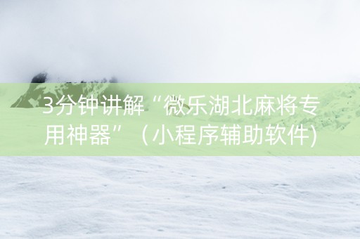 3分钟讲解“微乐湖北麻将专用神器”（小程序辅助软件)