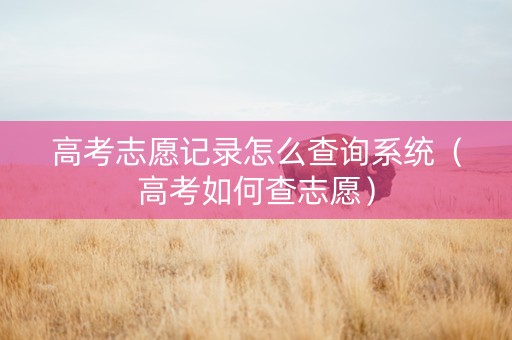 高考志愿记录怎么查询系统（高考如何查志愿）