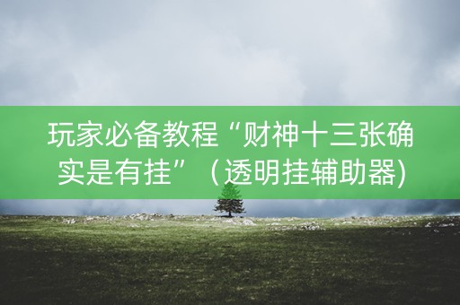 玩家必备教程“财神十三张确实是有挂”（透明挂辅助器)