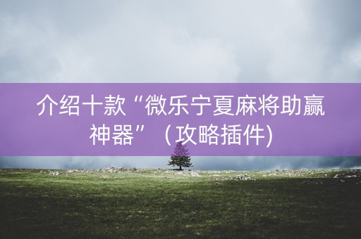 介绍十款“微乐宁夏麻将助赢神器”（攻略插件)