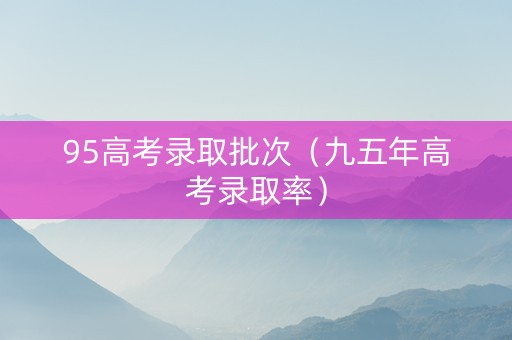 95高考录取批次（九五年高考录取率）