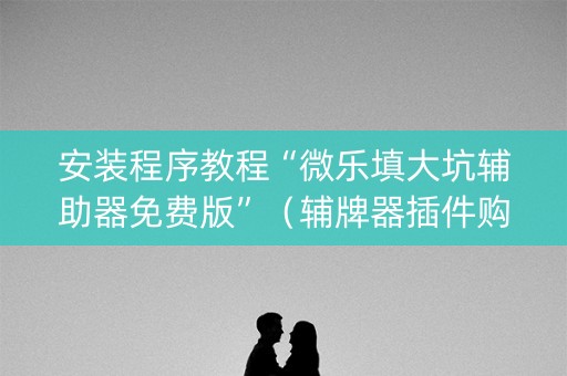 安装程序教程“微乐填大坑辅助器免费版”（辅牌器插件购买)