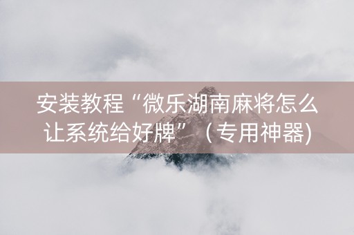 安装教程“微乐湖南麻将怎么让系统给好牌”（专用神器)