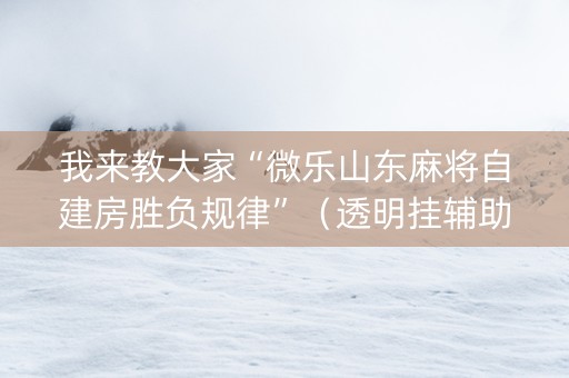 我来教大家“微乐山东麻将自建房胜负规律”（透明挂辅助器)