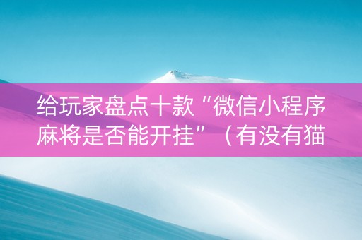 给玩家盘点十款“微信小程序麻将是否能开挂”（有没有猫腻)
