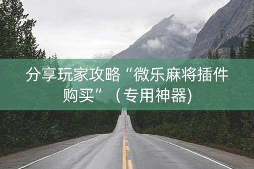 分享玩家攻略“微乐麻将插件购买”（专用神器)