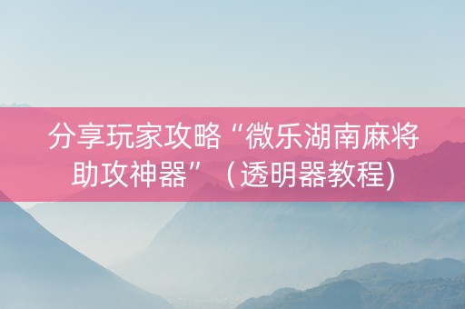 分享玩家攻略“微乐湖南麻将助攻神器”（透明器教程)