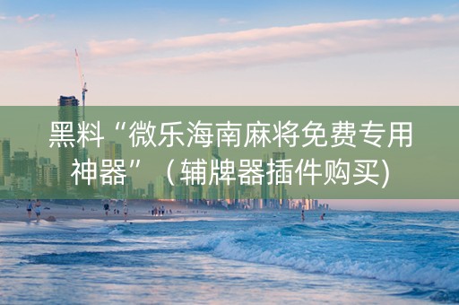 黑料“微乐海南麻将免费专用神器”（辅牌器插件购买)