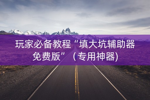 玩家必备教程“填大坑辅助器免费版”（专用神器)