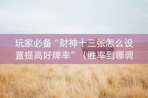 玩家必备“财神十三张怎么设置提高好牌率”（胜率到哪调)