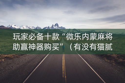 玩家必备十款“微乐内蒙麻将助赢神器购买”（有没有猫腻)