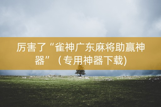厉害了“雀神广东麻将助赢神器”（专用神器下载)